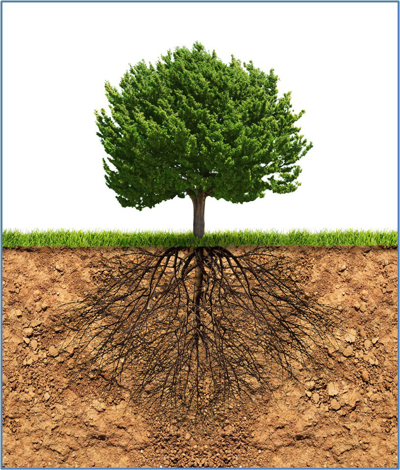 第3章　当院の考え方：腸・血液・免疫の三位一体治療