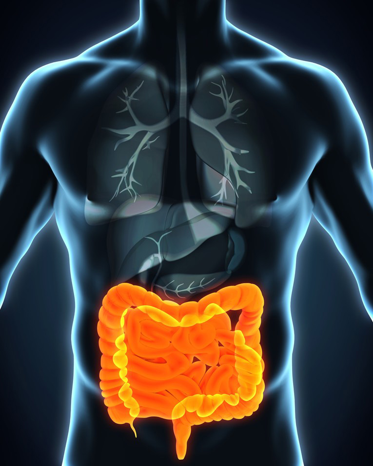 それが、皮膚病変として発現したものがアトピー性皮膚炎なのです。