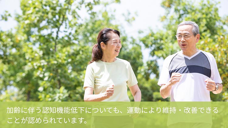 AI認知症早期対策 脳画像診断検査