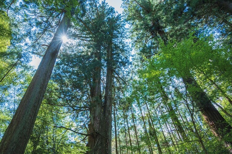 当院の取り組みのイメージ